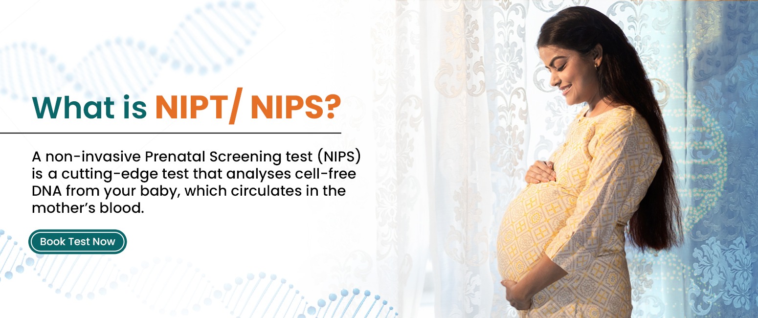 Advanced lab processes for non-invasive prenatal testing (NIPT) at JML Diagnostics in Jaipur.