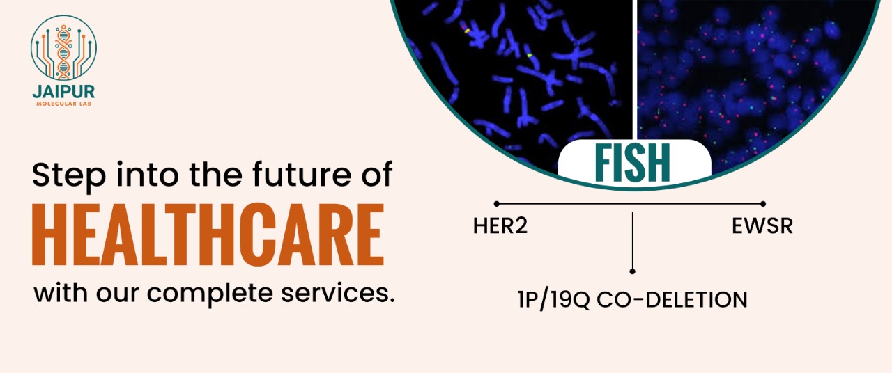 Fluorescent in situ hybridization (FISH) test detecting genetic abnormalities at JML in Jaipur.
